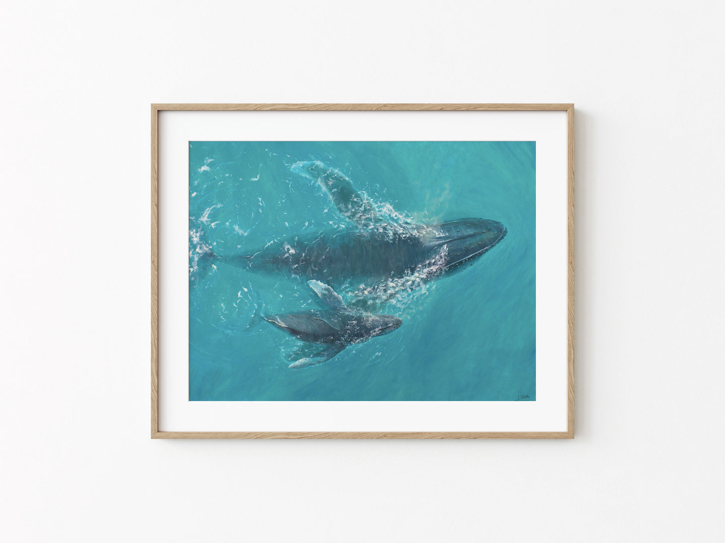 Aquatic Harmony | Fine Art Print